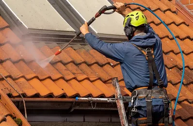 Démoussage et hydrofuge de toiture à Fréland